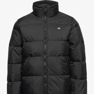 پافر مردانه کلاه دار دیکیز مدل Alatna Oversized Puffer Jacket مشکی